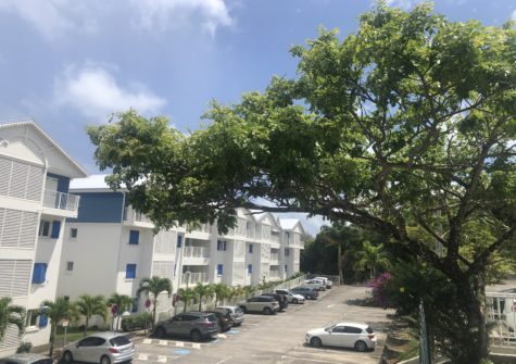 APPARTEMENT T2 AVEC JARDIN PRIVATIF