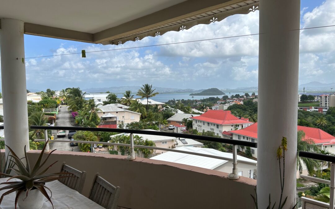 BEL APPARTEMENT T3 OFFRANT UNE VUE MER